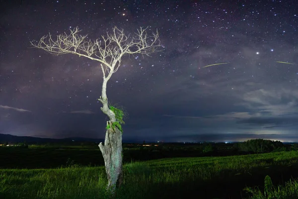 Nuit Panoramique Sur Montagne Avec Ciel Étoilé Belles Constellations Nocturnes — Photo