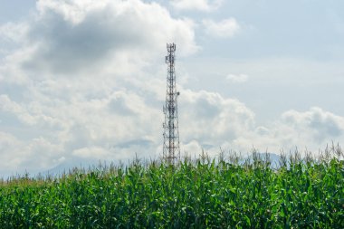 Endonezya 'daki iletişim ağı altyapısı