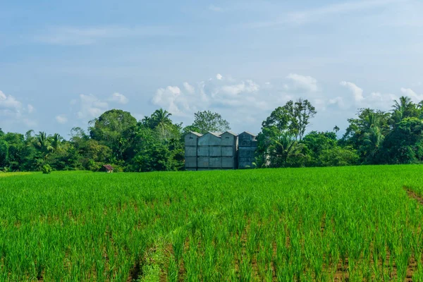 Blick Auf Landwirtschaftliche Flächen Und Moderne Gebäude — Stockfoto