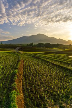 Güzel dağ yansımaları ve pirinç teraslarının serin ve güzel bir köyde sabah manzarası.