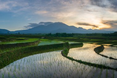 Sabah güneşinin yansıması dağ yamacında parlıyor ve pirinç tarlalarının güzel terası.