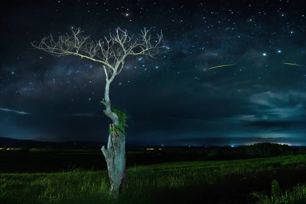 panoramic night on the mountain with a starry sky, beautiful night constellations in Indonesia