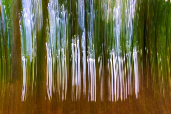 Blur Abstract Photo Beautiful Green Plantation Natural Light Natural Background — Fotografia de Stock