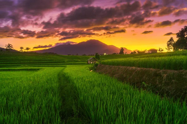 带日出的印度尼西亚农村绿稻田和山脉的自然景观 — 图库照片