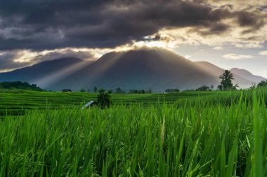 Köyde sabah manzarası Dağlar ve güneş parlıyor