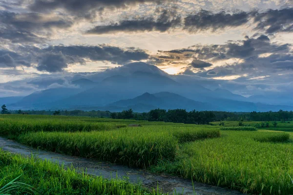 Morning View Road Green Fertile Rice Field Area Mountains Early — 图库照片