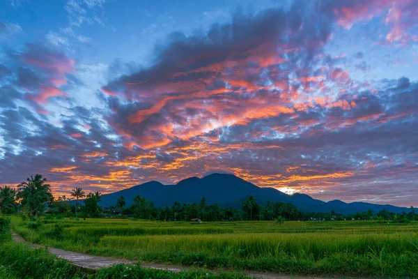 panoramic background of Indonesia's beautiful natural scenery. travel scenery in indonesia