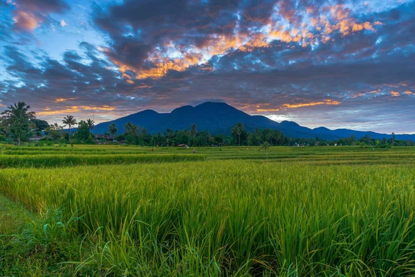 Arrière Plan Panoramique Des Magnifiques Paysages Naturels Indonésie Matin Est — Photo