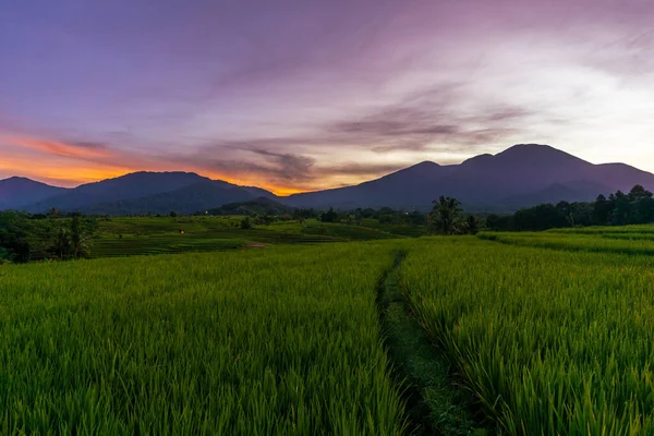 Необычайные Природные Пейзажи Индонезии Утренний Вид Красивым Небом Над Горным — стоковое фото