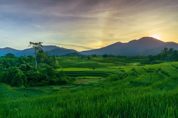 Indonesia Extraordinary Natural Scenery Sunrise View Water Irrigation Rice Fields — Stockfoto