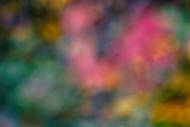 Natural beautiful green and pink cherry blossom blur background