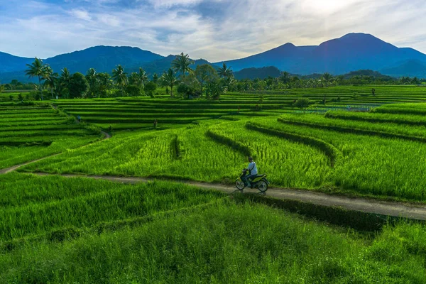Indonesia\'s natural scenery with mountains and rice fields in the morning when farmers leave for work by motorbike
