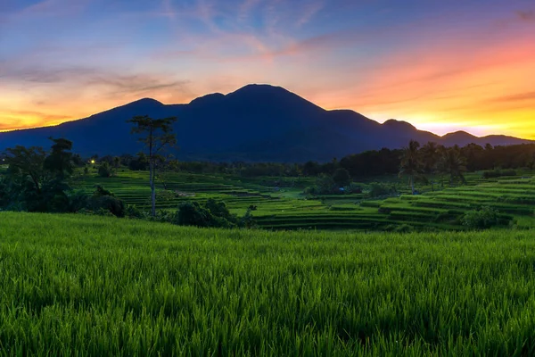 Natural Beauty Indonesia Panorama Mountains Sunrise Green Rice Fields Beautiful — Stok fotoğraf