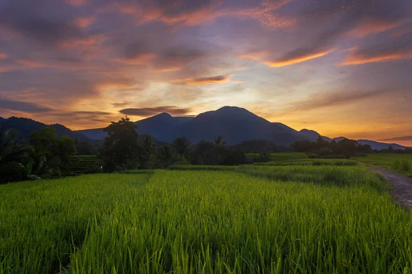 Indonesian Natural Panorama Morning Sun Rises Mountain Green Rice Fields — Φωτογραφία Αρχείου