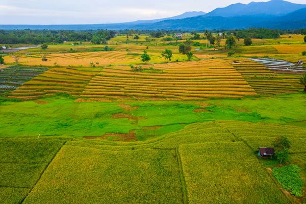 Panorama Naturel Indonésien Photographie Aérienne Beaux Rizières Sous Chaîne Montagnes — Photo