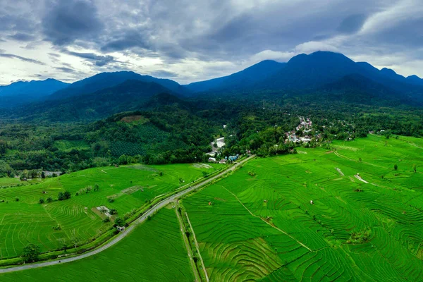 Индонезийская Природная Панорама Воздушной Фотографии Зеленых Рисовых Полей Горного Массива — стоковое фото