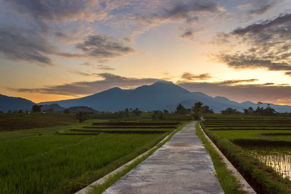 Paisaje Indonesio Amanecer Brillante Pueblo Con Campos Arroz — Foto de Stock