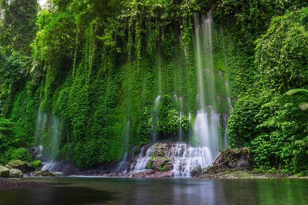 Indonesisk Natur Vattenfall Område Vacker Tropisk Skog Och Klart Vatten Stockbild