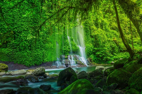 Endonezya manzarası, güzel yeşil yapraklı tropikal orman şelaleleri.