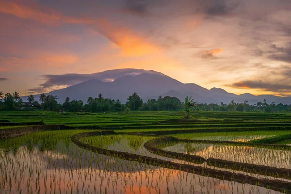Indonéz Táj Reggelek Falvakban Rizsföldeken Napfelkelte Hegyek Tükröződése — Stock Fotó