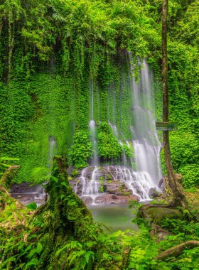 Endonezya 'nın güzel tropikal ormanlarında bir şelale manzarası