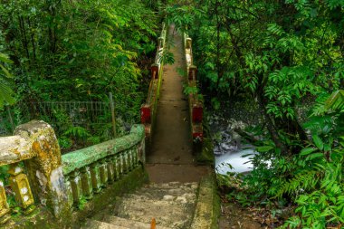 Endonezya tropik orman şelalesinde sabah manzarası