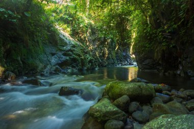 Tropik bir ormanın ortasında güzel bir şelalesi olan Endonezya doğal manzarası