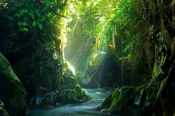 Tropik Bir Ormanın Ortasında Güzel Bir Şelalesi Olan Endonezya Doğal — Stok fotoğraf