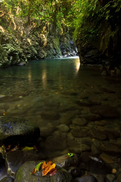 在热带森林中央有美丽瀑布的印度尼西亚自然景观 — 图库照片