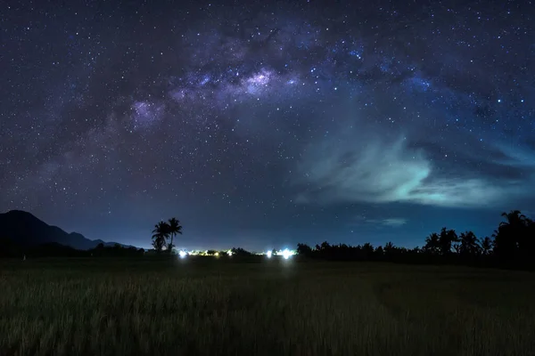 Paysage Naturel Indonésien Avec Rizières Nuit — Photo