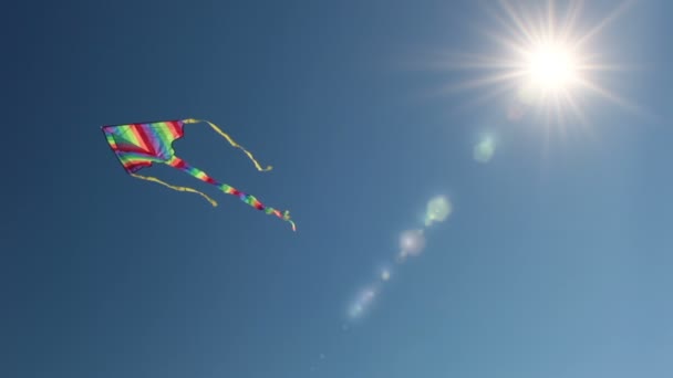 Kite och solen — Stockvideo