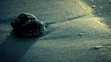 İyi geceler. Seashell Beach.