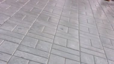 farklı bacaklar