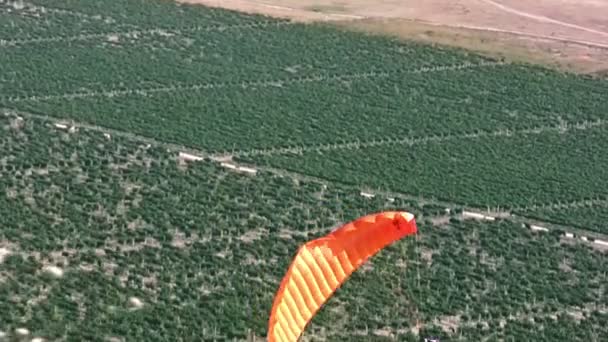 Paraglider över kusten — Stockvideo