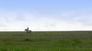 Yalnız Süvari