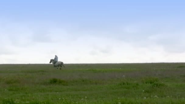 Одинокий всадник — стоковое видео