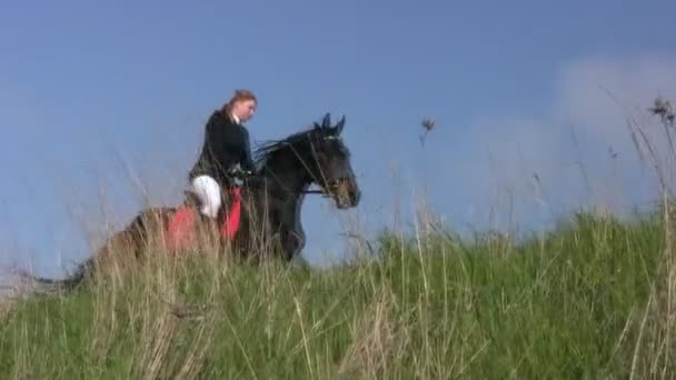 Девушка верхом на лошади в степи — стоковое видео