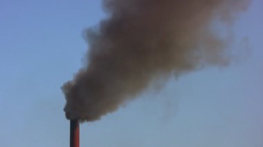 çevreciler ağlamak istiyorum