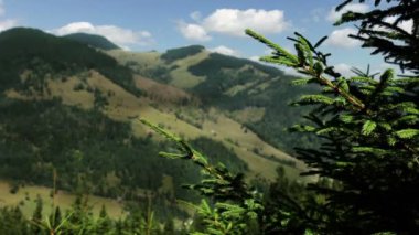 Ladin ve yaz dağlar