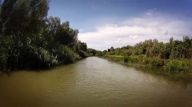 Orman Nehri