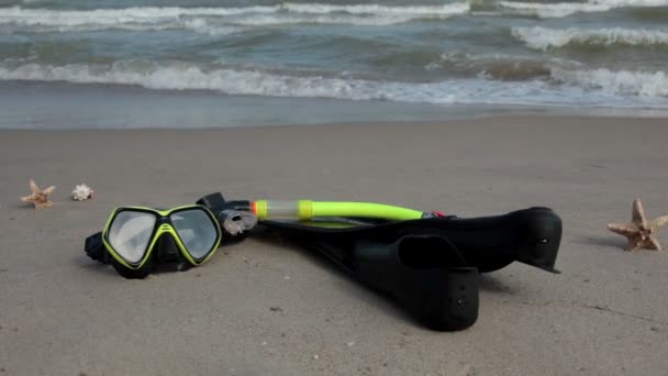 E 'ora di fare snorkeling. ! — Video Stock