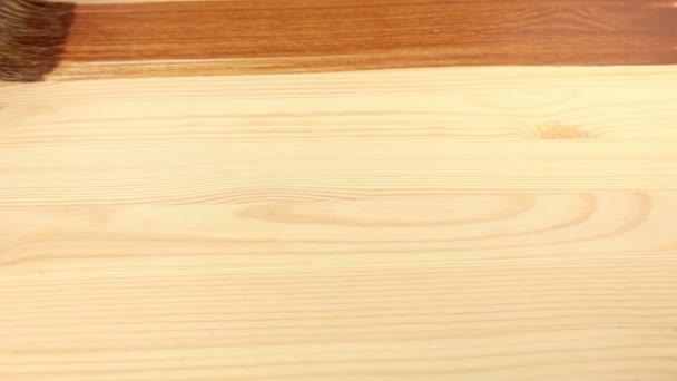 Varnishing of the wooden board — Stock Video