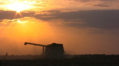 günbatımı, Yem hasat biçerdöverler alanı