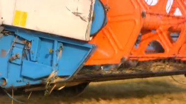 birleştirme alanı hasat