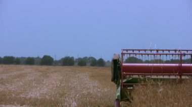 birleştirme alanı hasat