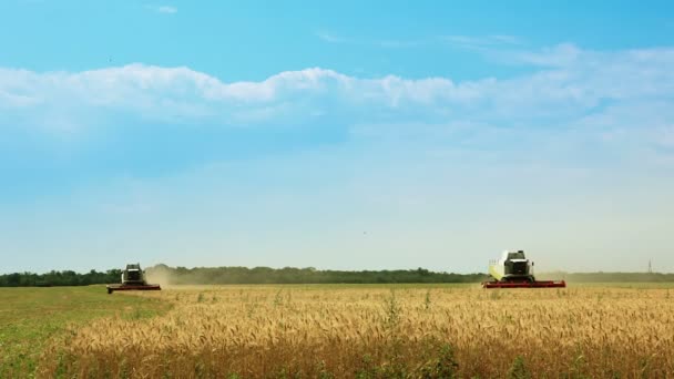 Traktory na hřišti — Stock video