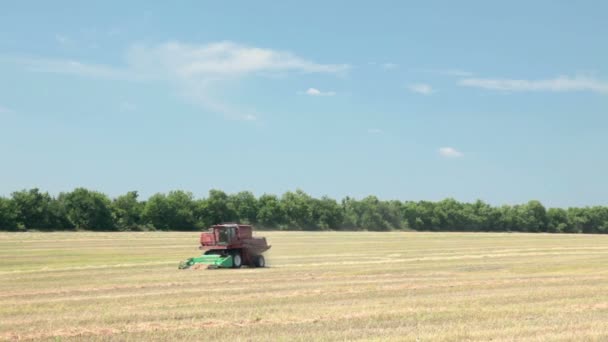 Harvesting combine on field — Stock Video