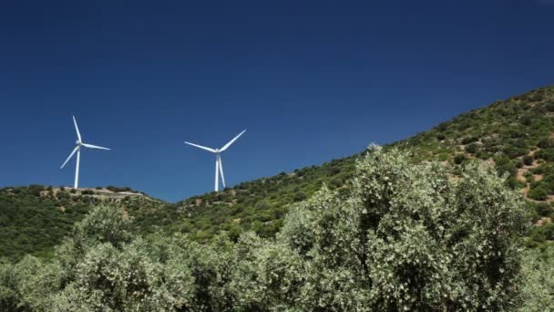 Olivenbäume und Windkraft — Stockvideo