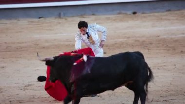 Faena de muleta