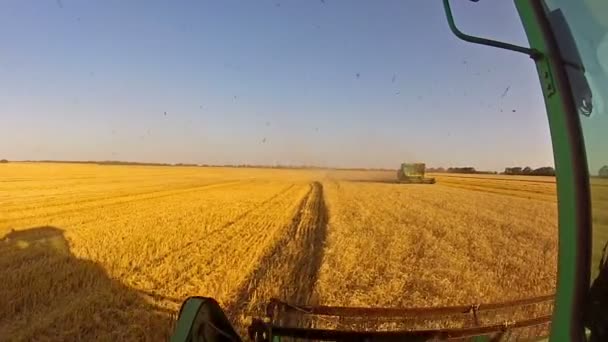 Meeting of combine harvesters in field — Stock Video